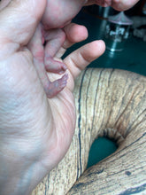 Load image into Gallery viewer, CUSTOM full body silicone mini baby Lucas in soft blend asleep bald