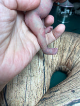 Load image into Gallery viewer, CUSTOM full body silicone mini baby Lucas in soft blend asleep bald