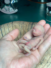 Load image into Gallery viewer, AVAILABLE full body silicone mini kit Leo( baby boy) in super soft blend with 3D skin effect - project “I exist!”