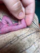 Load image into Gallery viewer, CUSTOM full body silicone mini baby Lucas in soft blend asleep bald