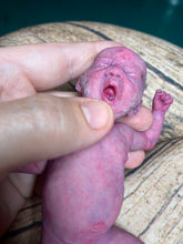 Load image into Gallery viewer, CUSTOM full body silicone mini baby Lucas in soft blend asleep bald