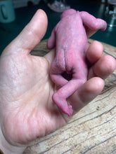 Load image into Gallery viewer, CUSTOM full body silicone mini baby Lucas in soft blend asleep bald