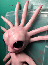 Load image into Gallery viewer, Full body silicone alien squid baby Nova