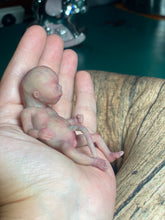 Load image into Gallery viewer, AVAILABLE full body silicone mini kit Leo( baby boy) in super soft blend with 3D skin effect - project “I exist!”