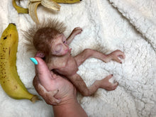 Load image into Gallery viewer, Full body silicone mini baby monkey in marshmallow soft blend