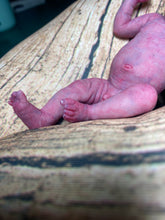 Load image into Gallery viewer, CUSTOM full body silicone mini baby Lucas in soft blend asleep bald