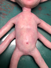 Load image into Gallery viewer, Full body silicone alien squid baby Nova