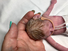 Load image into Gallery viewer, Super detailed Full body silicone premature baby Sunshine in soft blend 9”