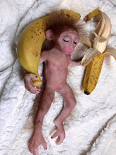 Load image into Gallery viewer, Full body silicone mini baby monkey in marshmallow soft blend