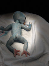 Load image into Gallery viewer, Full body silicone mini baby Alien in super soft blend 11”