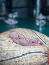 Load image into Gallery viewer, CUSTOM full body silicone mini baby Lucas in soft blend asleep bald