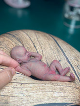 Load image into Gallery viewer, CUSTOM full body silicone mini baby Lucas in soft blend asleep bald