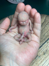 Load image into Gallery viewer, AVAILABLE full body silicone mini kit Leo( baby boy) in super soft blend with 3D skin effect - project “I exist!”