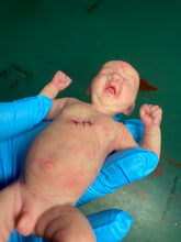Load image into Gallery viewer, AVAILABLE full body special silicone mini baby Lucas in soft blend asleep bald