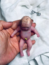 Load image into Gallery viewer, Prototype full body silicone mini kit Milly 4.5” in super soft blend