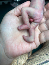 Load image into Gallery viewer, CUSTOM full body silicone mini baby Lucas in soft blend asleep bald