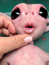 Load image into Gallery viewer, Full body silicone alien squid baby Nova
