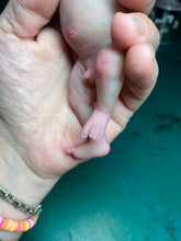 Load image into Gallery viewer, CUSTOM full body silicone mini baby Lucas in soft blend asleep bald