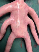 Load image into Gallery viewer, Full body silicone alien squid baby Nova