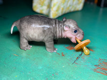 Load image into Gallery viewer, CUSTOM Full body silicone baby Hippo
