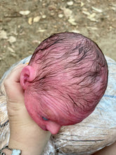 Load image into Gallery viewer, AVAILABLE PROTOTYPE silicone cuddle Ollie in soft blend with HAIR
