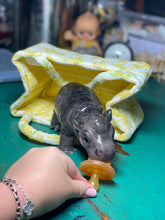 Load image into Gallery viewer, CUSTOM Full body silicone baby Hippo
