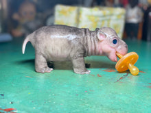 Load image into Gallery viewer, CUSTOM Full body silicone baby Hippo
