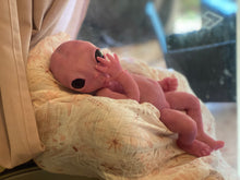 Load image into Gallery viewer, Full body silicone fantasy alien 15” baby girl
