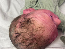 Load image into Gallery viewer, AVAILABLE PROTOTYPE silicone cuddle Ollie in soft blend with APPLIED (glued on) HAIR
