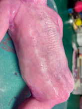 Load image into Gallery viewer, CUSTOM Full body silicone baby boy crier 12&quot; ROOTED
