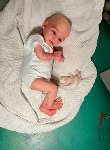 AVAILABLE Reborn baby Denver Rose AWAKE