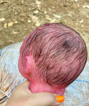 Load image into Gallery viewer, AVAILABLE PROTOTYPE silicone cuddle Ollie in soft blend with HAIR
