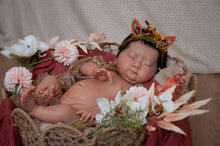 Load image into Gallery viewer, BLANK vinyl kit Meimei by Irina Kodrashova (includes: vinyl head, full legs, 3/4 arms &amp; fabric body, COA &amp; SHIPPING)
