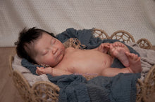 Load image into Gallery viewer, BLANK vinyl kit Kaito by Irina Kodrashova (includes: vinyl head, full limbs &amp; fabric body, COA &amp; SHIPPING)
