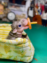 Load image into Gallery viewer, CUSTOM Full body silicone baby Hippo
