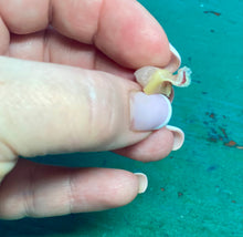 Load image into Gallery viewer, Healing belly button stamp in silicone (various sizes) PRICE INCLUDES SHIPPING
