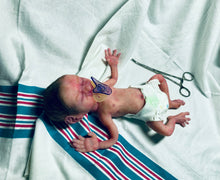 Load image into Gallery viewer, AVAILABLE Full body silicone baby girl crier 12&quot; ROOTED
