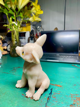 Load image into Gallery viewer, CUSTOM BLANK silicone Dog kit in soft blend platinum cure silicone
