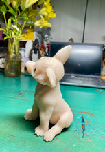 Load image into Gallery viewer, CUSTOM BLANK silicone Dog kit in soft blend platinum cure silicone
