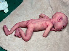 Load image into Gallery viewer, CUSTOM Prototype full body Silicone premature baby doll Amelia (baby girl ) in soft blend with armatures
