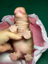 Load image into Gallery viewer, AVAILABLE Full body silicone baby Hippo
