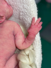 Load image into Gallery viewer, Custom BOO BOO full body silicone kit Minou sleeping in SUPER soft blend
