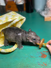 Load image into Gallery viewer, CUSTOM Full body silicone baby Hippo

