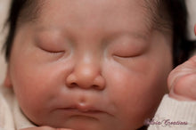 Load image into Gallery viewer, BLANK vinyl kit Kaito by Irina Kodrashova (includes: vinyl head, full limbs &amp; fabric body, COA &amp; SHIPPING)
