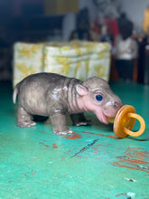Load image into Gallery viewer, CUSTOM Full body silicone baby Hippo
