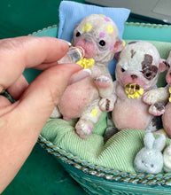 Load image into Gallery viewer, AVAILABLE PROTOTYPE silicone puppy Button in soft blend platinum cure silicone

