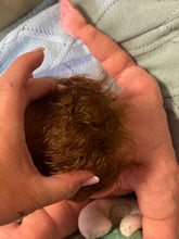Load image into Gallery viewer, AVAILABLE Full body silicone baby boy Ryan in soft blend
