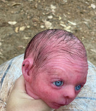Load image into Gallery viewer, AVAILABLE PROTOTYPE silicone cuddle Ollie in soft blend with HAIR
