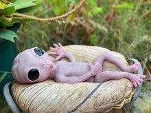 Load image into Gallery viewer, CUSTOM Full body silicone fantasy alien baby girl 12”
