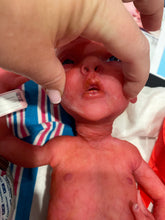 Load image into Gallery viewer, AVAILABLE AWARD WINNING Prototype full body Silicone premature baby doll Amelia (baby girl ) in soft blend with HAIR
